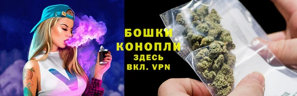 PSILOCYBIN Армянск