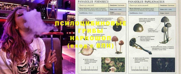 мефедрон мука Алзамай