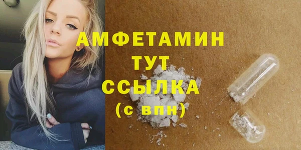 ГАЛЛЮЦИНОГЕННЫЕ ГРИБЫ Вязники