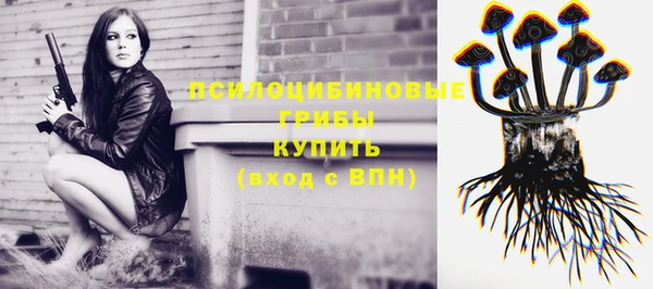 круглые Аркадак