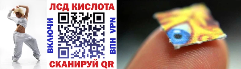 Марки 25I-NBOMe 1500мкг где можно купить наркотик Бикин